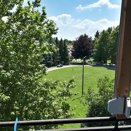 Angi Apartman- Nagyszeru Elhelyezkedes, Vendegkozpontu Szallashely-Szolgaltatas Apartment Harkany Bagian luar foto